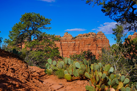Sedona-100