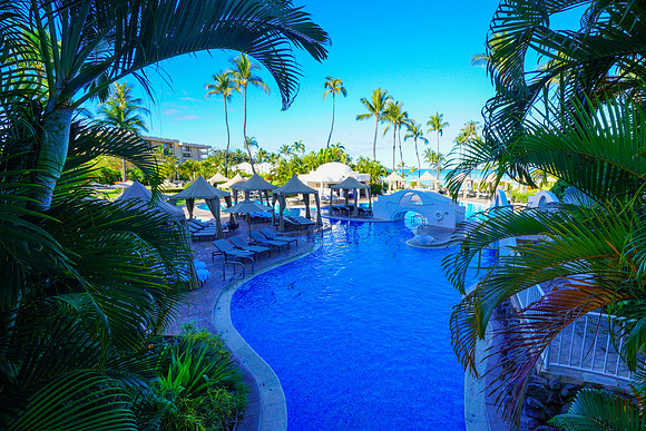 Water Pik Maui 2022-110
