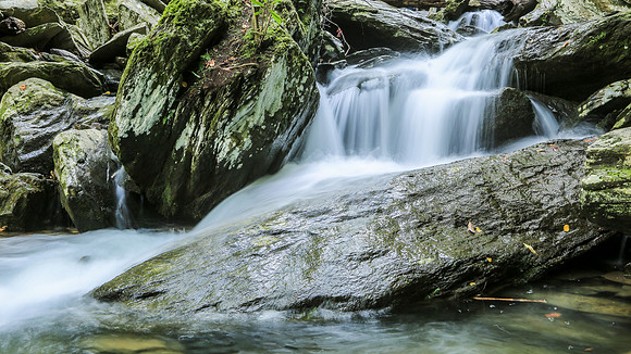 Asheville-068