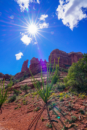 Sedona-108