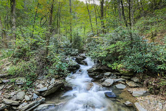 Asheville-066