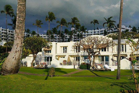 Water Pik Maui 2022-008