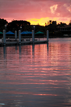 Heart Walk 2012-064
