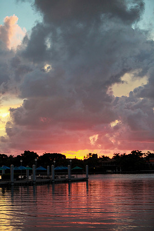 Heart Walk 2012-065