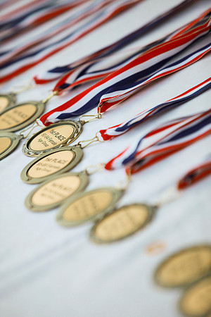 Heart Walk 2012-086
