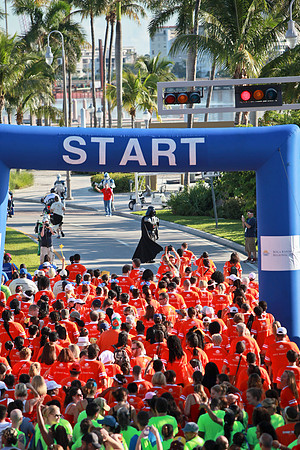 Heart Walk 2012-134