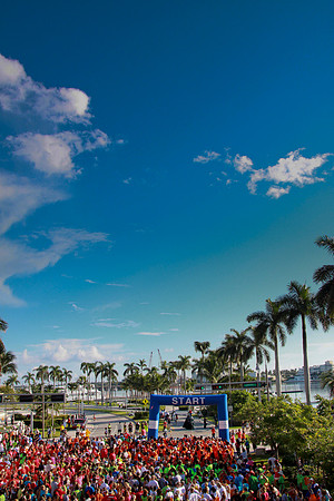 Heart Walk 2012-141