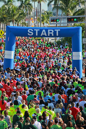 Heart Walk 2012-143