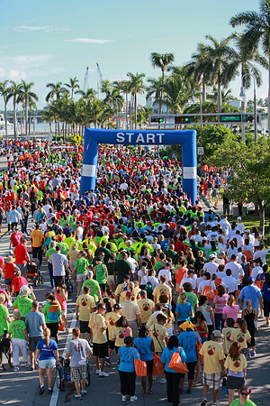 Heart Walk 2012-146