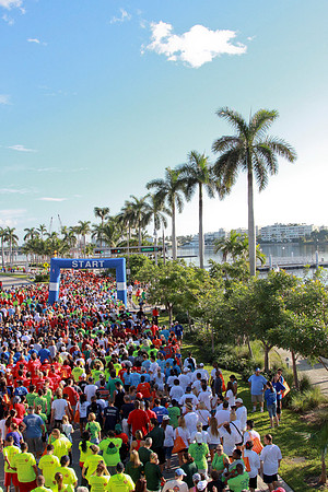 Heart Walk 2012-153