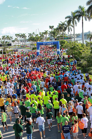 Heart Walk 2012-154