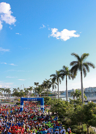 Heart Walk 2012-156