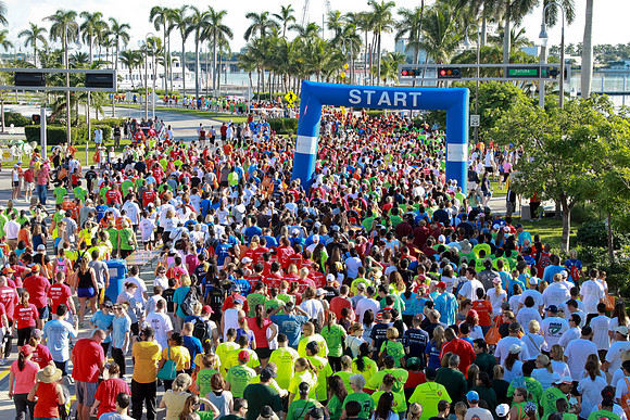 Heart Walk 2012-160