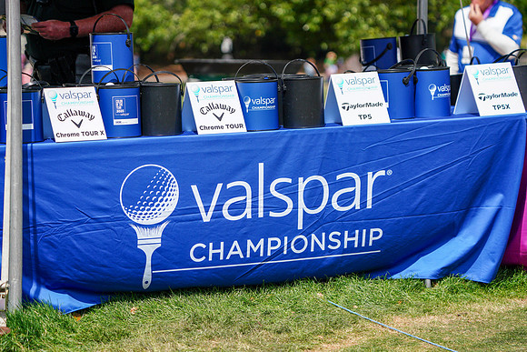 Valspar-541