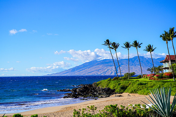 Water Pik Maui 2022-223