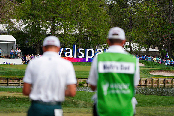 Valspar-587
