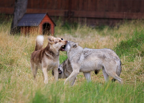 Alaska Trip 2016-320