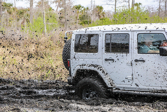Jeep-105