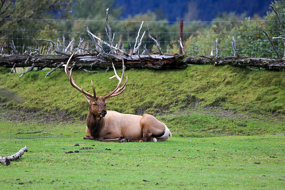 Alaska Trip 2016-303