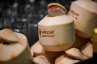 Valspar 2026-034