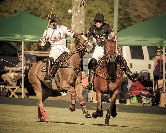 Palm Beach Polo-2