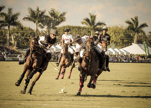 Palm Beach Polo-6