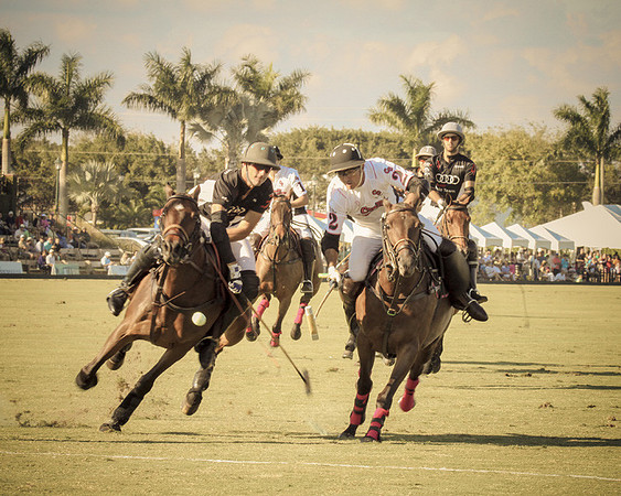 Palm Beach Polo-7