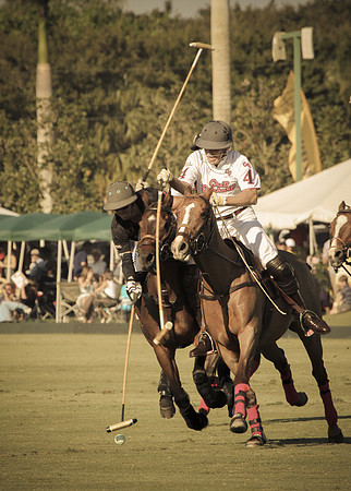 Palm Beach Polo-8