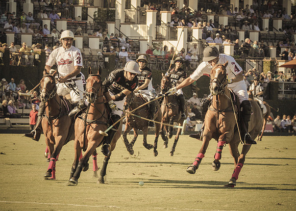 Palm Beach Polo-10