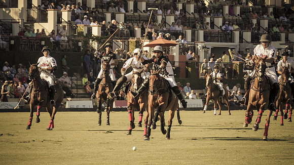 Palm Beach Polo-9