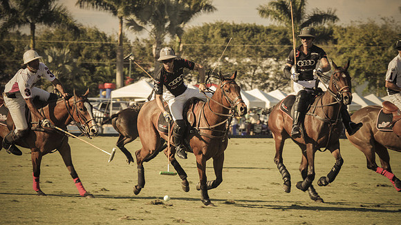 Palm Beach Polo-12