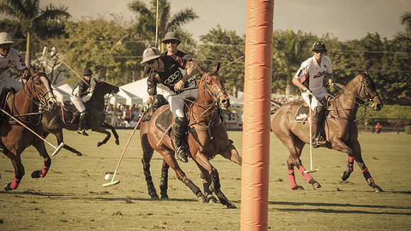 Palm Beach Polo-13