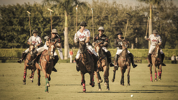 Palm Beach Polo-15