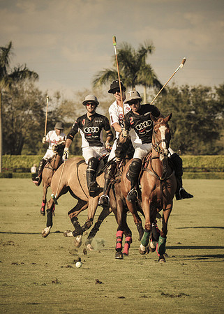 Palm Beach Polo-16