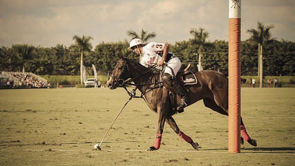 Palm Beach Polo-17
