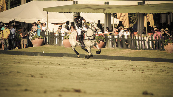 Palm Beach Polo-18
