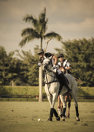 Palm Beach Polo-19
