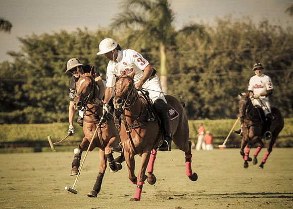 Palm Beach Polo-20
