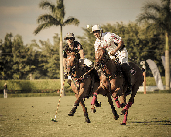 Palm Beach Polo-21