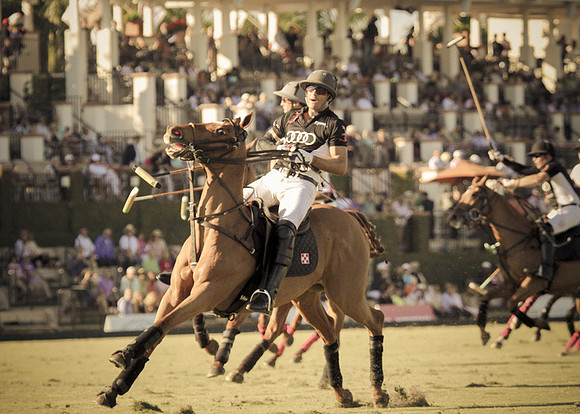 Palm Beach Polo-22