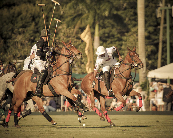 Palm Beach Polo-24