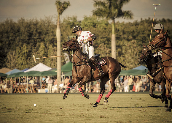 Palm Beach Polo-25