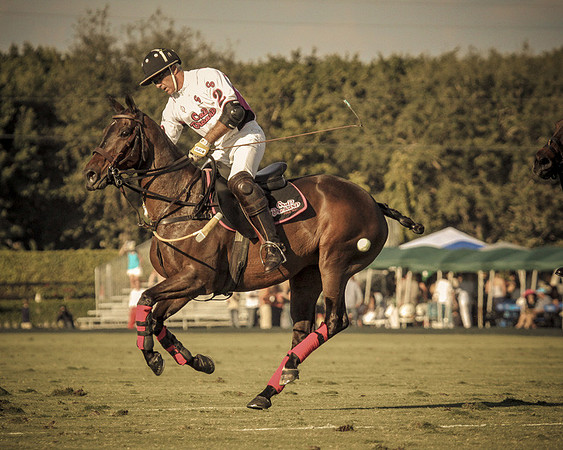 Palm Beach Polo-26