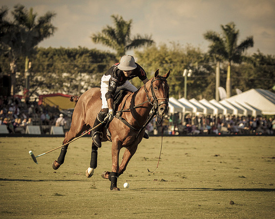 Palm Beach Polo-27