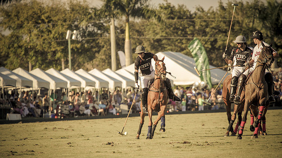 Palm Beach Polo-28