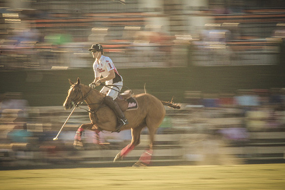 Palm Beach Polo-33