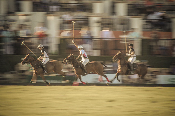 Palm Beach Polo-39