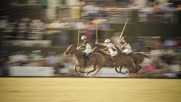 Palm Beach Polo-38