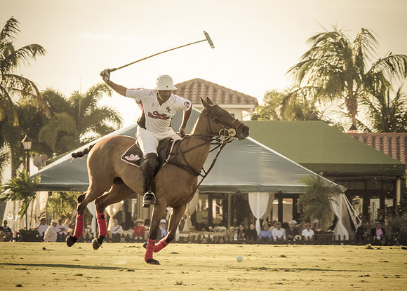Palm Beach Polo-41