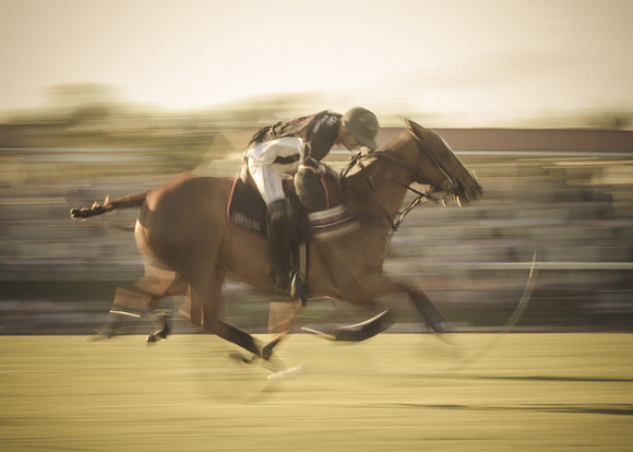 Palm Beach Polo-43
